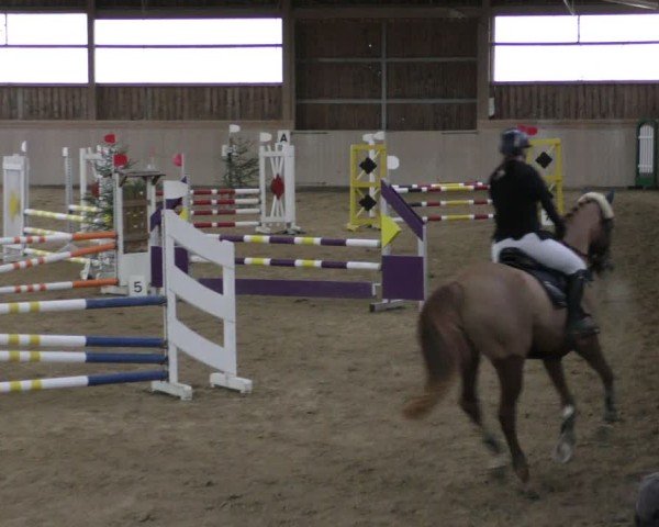 Reitturnier Marktredwitz-Haag/Ofr. 2024