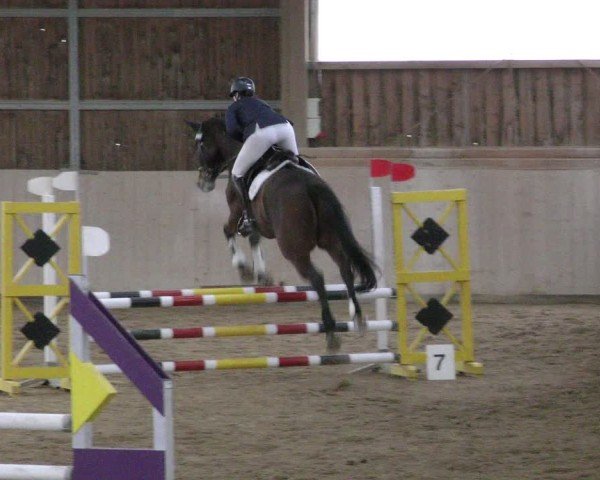 Reitturnier Marktredwitz-Haag/Ofr. 2024