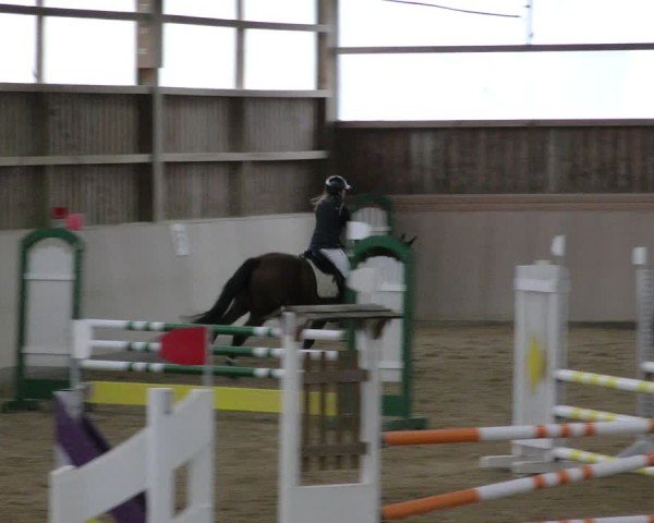 Reitturnier Marktredwitz-Haag/Ofr. 2024