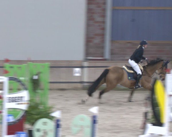 Reitturnier Heek-Nienborg 2024