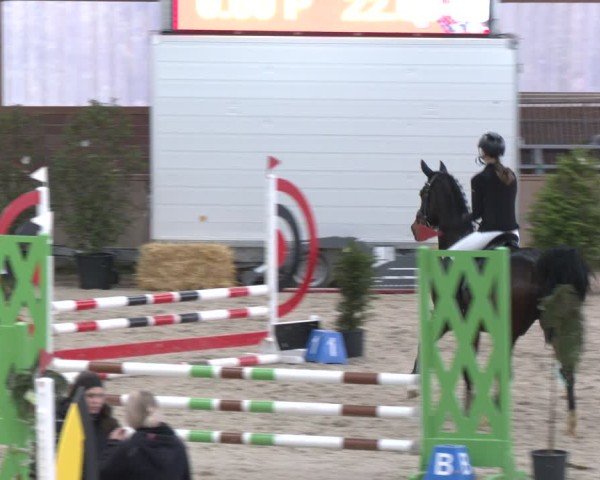 Reitturnier Heek-Nienborg 2024