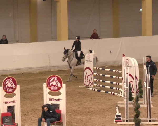 Reitturnier Stadl-Paura 2024