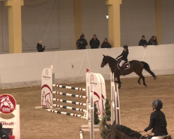 Reitturnier Stadl-Paura 2024