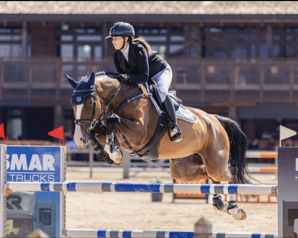 Springpferd Editta del Maset (Spanisches Sportpferd, 2016, von Eilan del Maset)