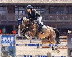 jumper Editta del Maset (Spanish Sport Horse, 2016, from Eilan del Maset)