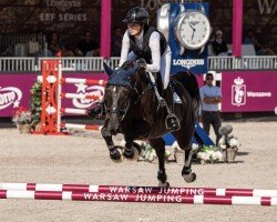 jumper LADY CONCERN DU REZIDAL (Belgium Sporthorse, 2017, from Emerald van 't Ruytershof)