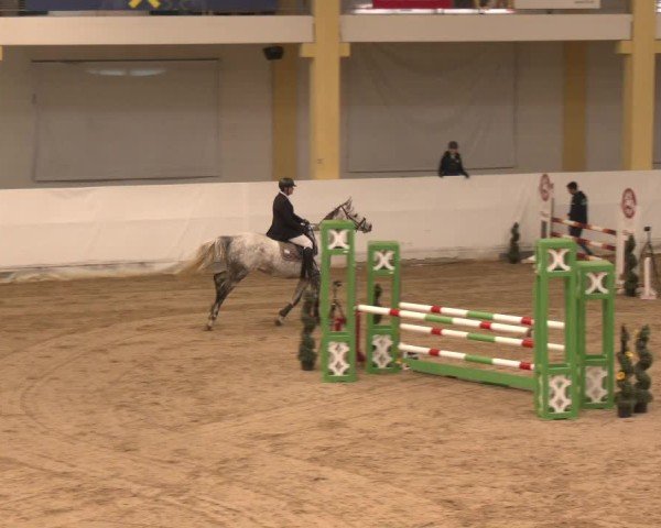 Reitturnier Stadl-Paura 2024