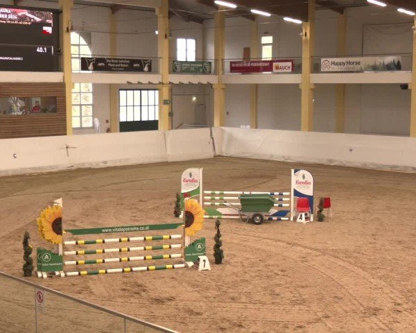 Reitturnier Stadl-Paura 2024