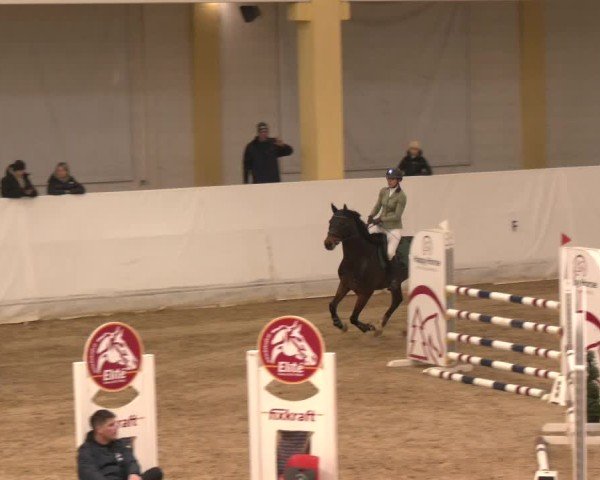Reitturnier Stadl-Paura 2024