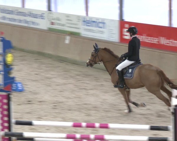 Reitturnier Heek-Nienborg 2024