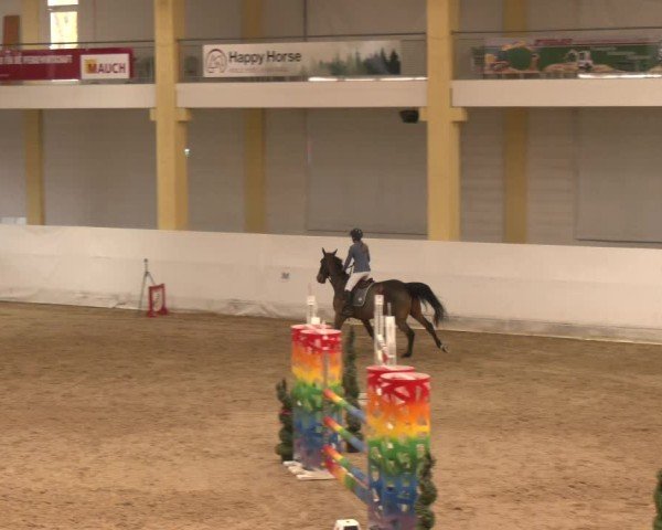 Reitturnier Stadl-Paura 2024