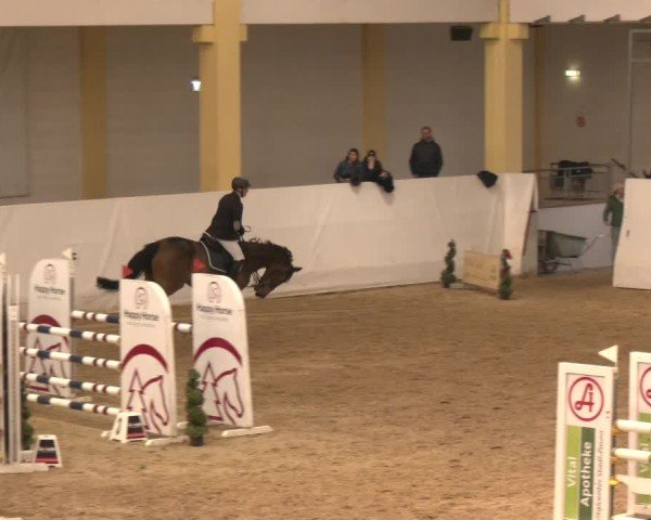 Reitturnier Stadl-Paura 2024
