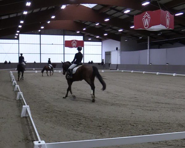 Reitturnier Münster-Handorf 2024