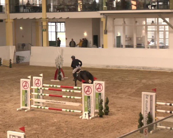Reitturnier Stadl-Paura 2024