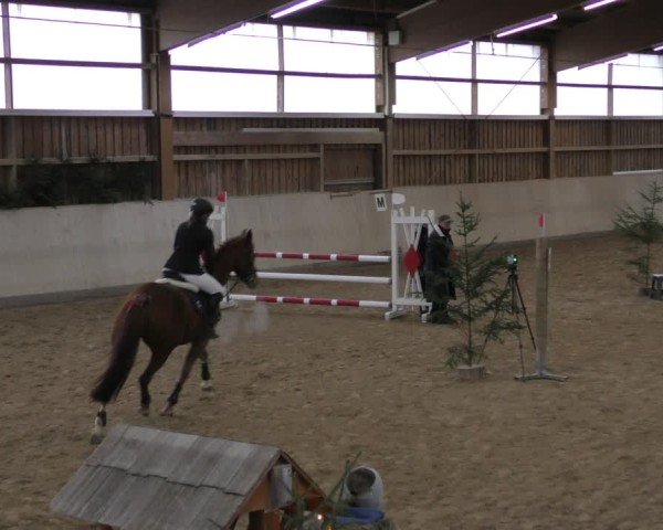 Reitturnier Marktredwitz-Haag/Ofr. 2024