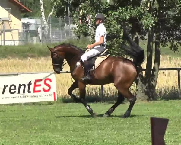 Gültsteiner Springtage 2013