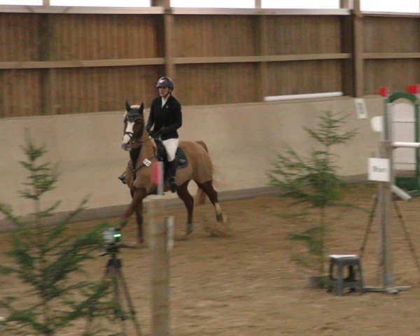 Reitturnier Marktredwitz-Haag/Ofr. 2024
