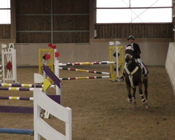 Reitturnier Marktredwitz-Haag/Ofr. 2024