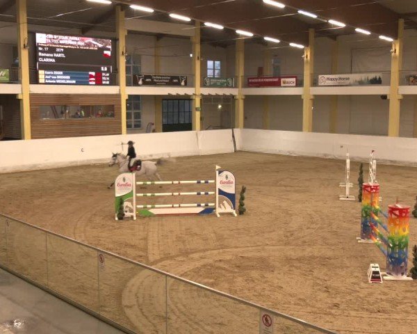 Reitturnier Stadl-Paura 2024