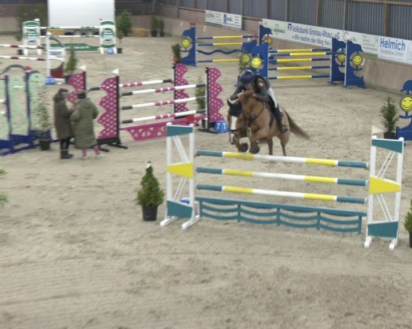 Reitturnier Heek-Nienborg 2024