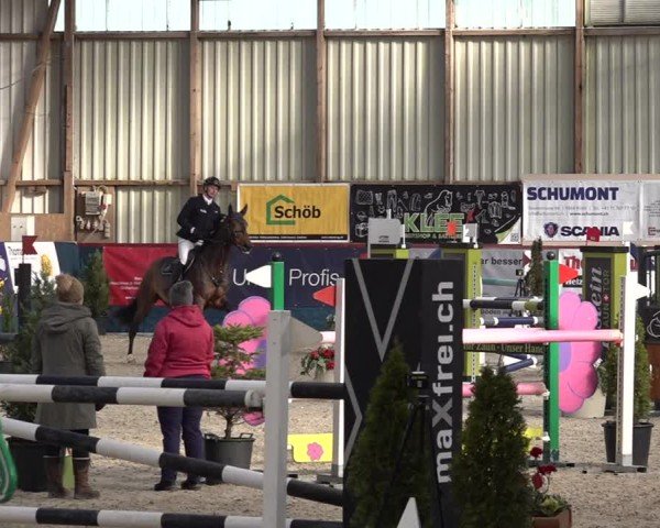 Reitturnier Oberriet 2024