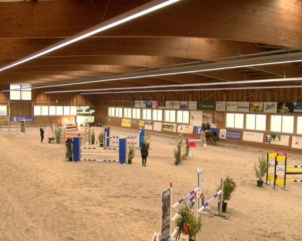 Reitturnier Rüti 2024