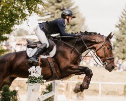 jumper Kanada H (Westphalian, 2017, from Kannan)