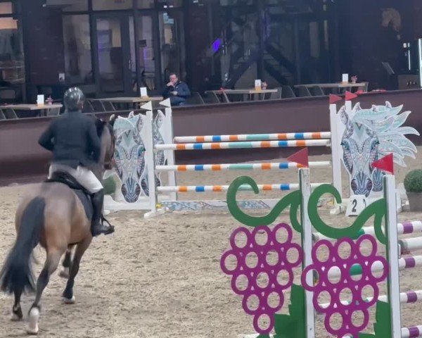 Video von Lancelot GD