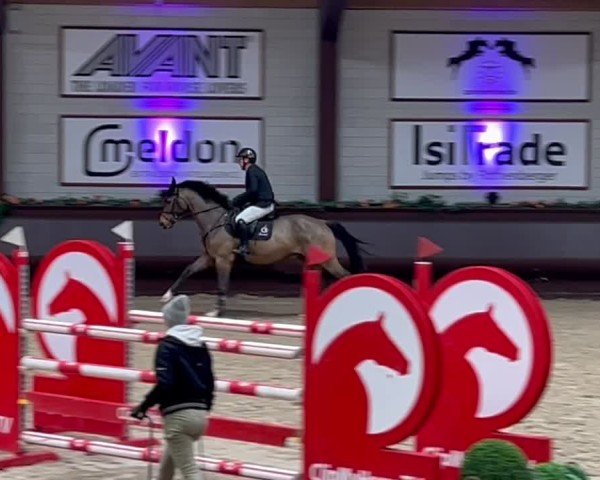 Video von Lancelot GD