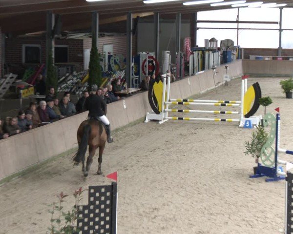 Reitturnier Heek-Nienborg 2024