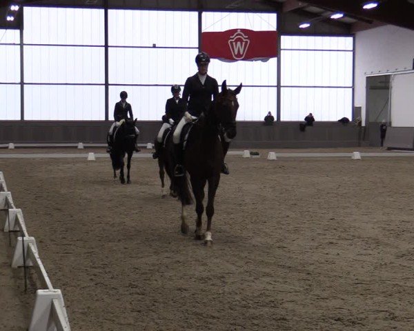 Reitturnier Münster-Handorf 2024