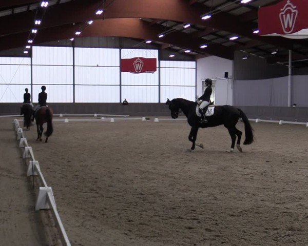 Reitturnier Münster-Handorf 2024