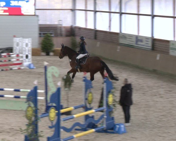 Reitturnier Heek-Nienborg 2024