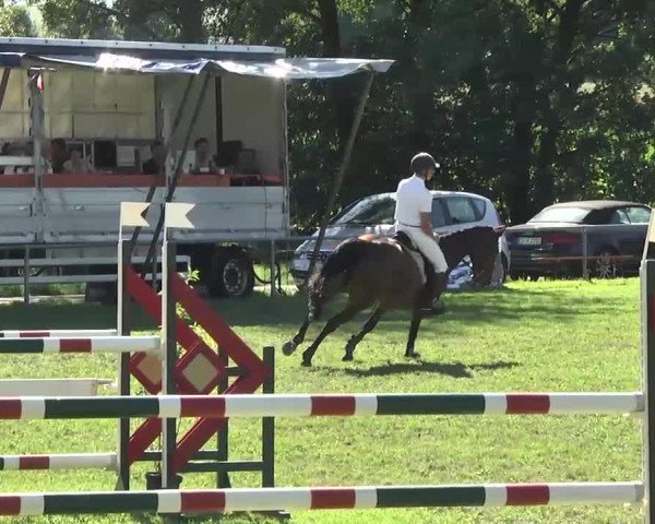 Gültsteiner Springtage 2013