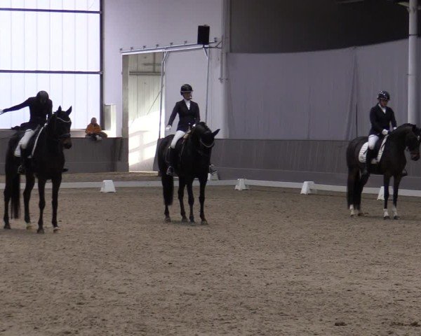 Reitturnier Münster-Handorf 2024