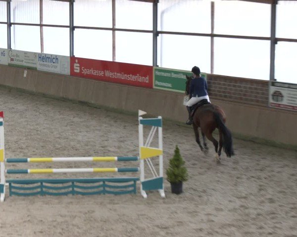 Reitturnier Heek-Nienborg 2024