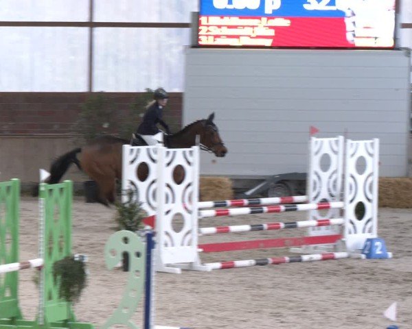 Reitturnier Heek-Nienborg 2024