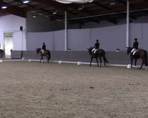 Reitturnier Münster-Handorf 2024