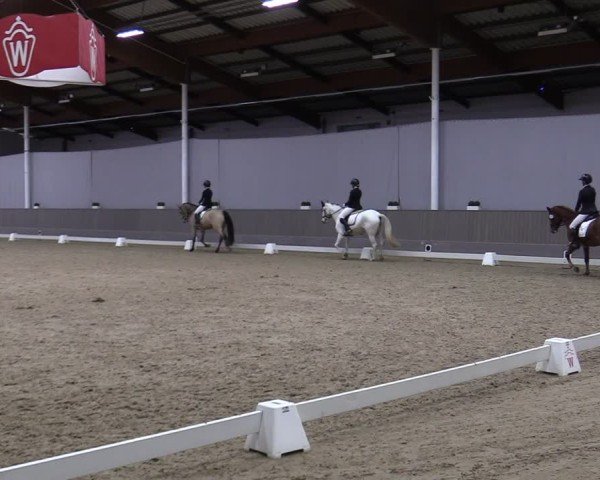 Reitturnier Münster-Handorf 2024