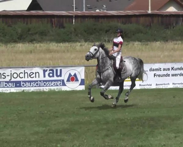 Gültsteiner Springtage 2013