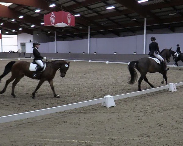 Reitturnier Münster-Handorf 2024