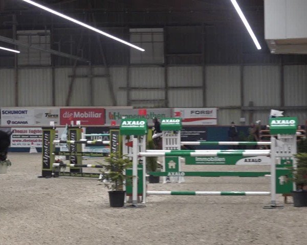 Reitturnier Oberriet 2024