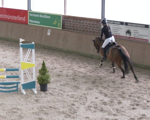 Reitturnier Heek-Nienborg 2024