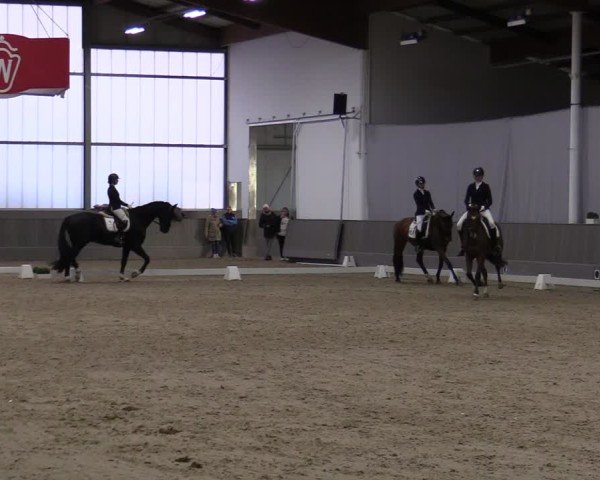 Reitturnier Münster-Handorf 2024