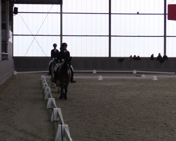 Reitturnier Münster-Handorf 2024