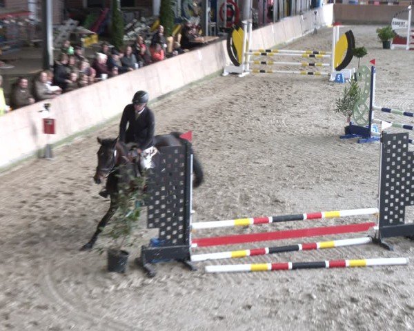 Reitturnier Heek-Nienborg 2024
