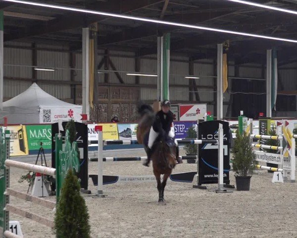 Reitturnier Oberriet 2024