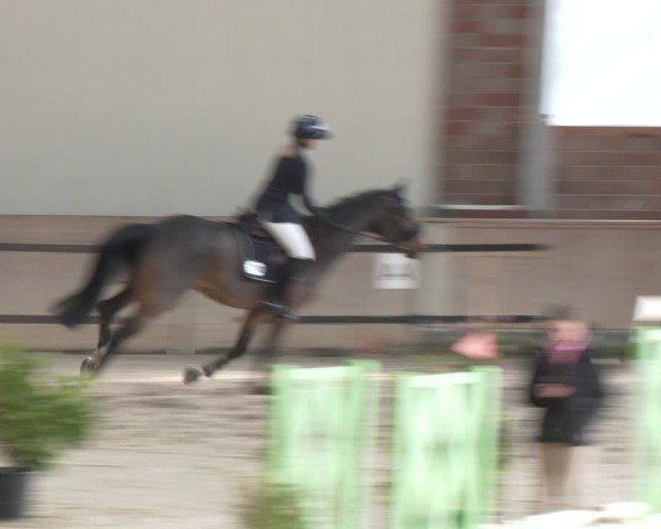 Reitturnier Heek-Nienborg 2024