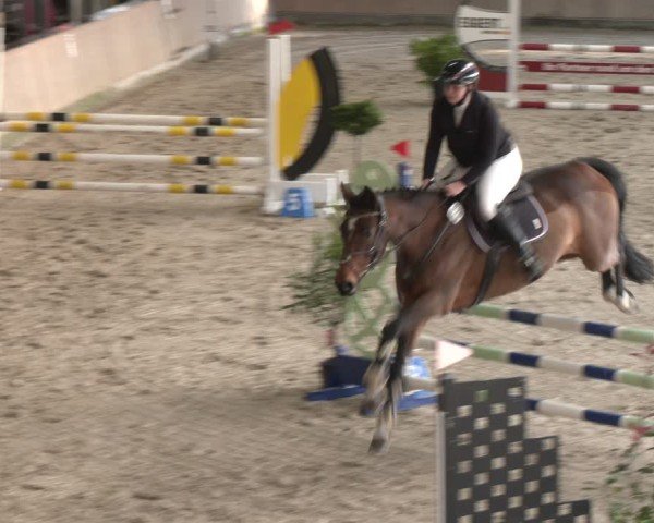 Reitturnier Heek-Nienborg 2024