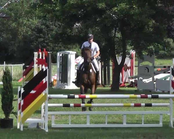 Gültsteiner Springtage 2013